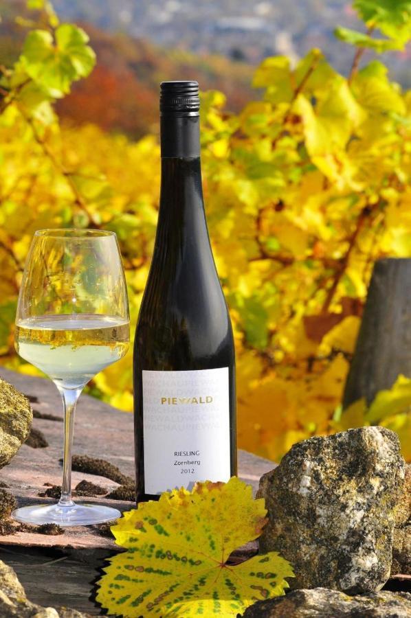 Weingut Piewald Apartment Gut am Steg Luaran gambar